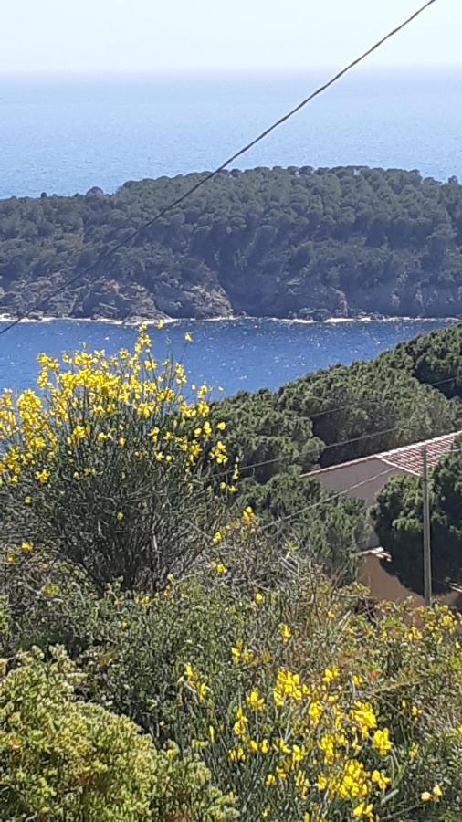 Residence La Calle Isola D'Elba Exterior photo